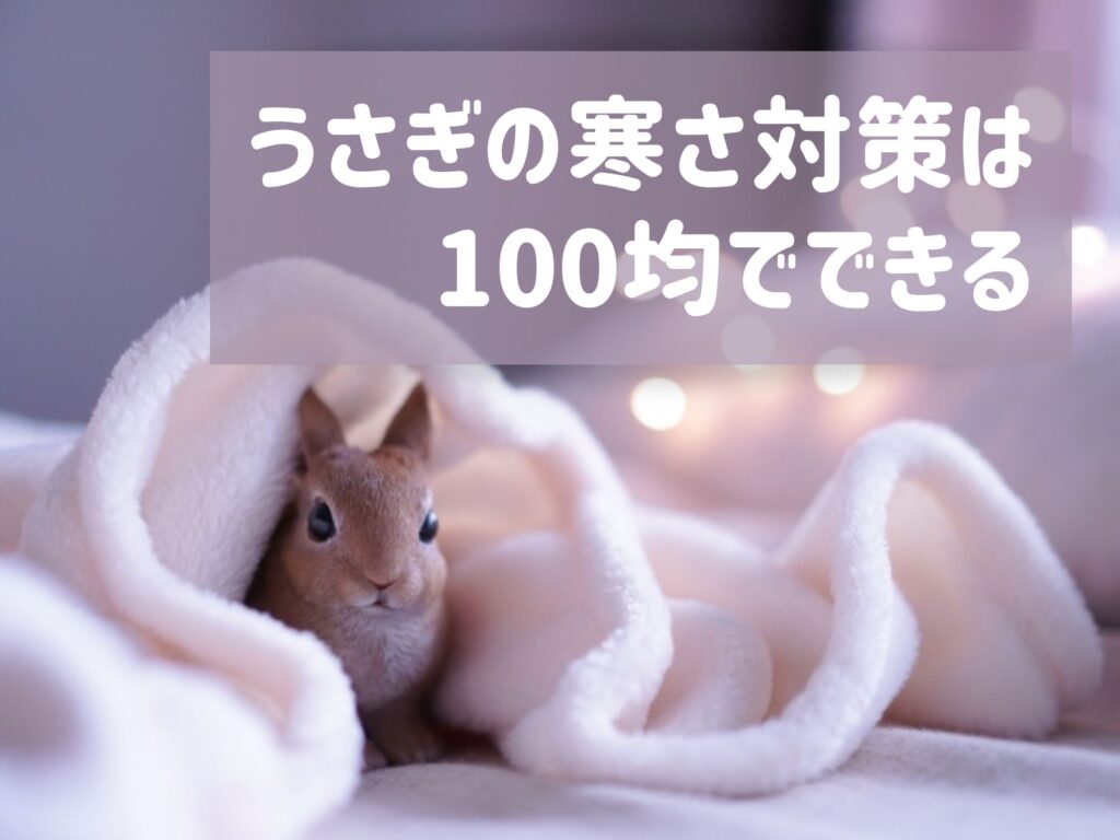 うさぎの寒さ対策は100均でできる ダンボールカバーを手作りすればさらに効果あり カイロや湯たんぽは 他のグッズもご紹介 犬猫好きのお菓子屋さん